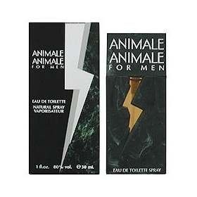 43 - ANIMALE